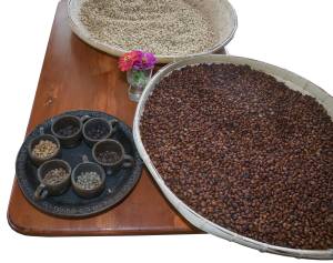 Coffee beans at the Wolopaku coffee plantation 