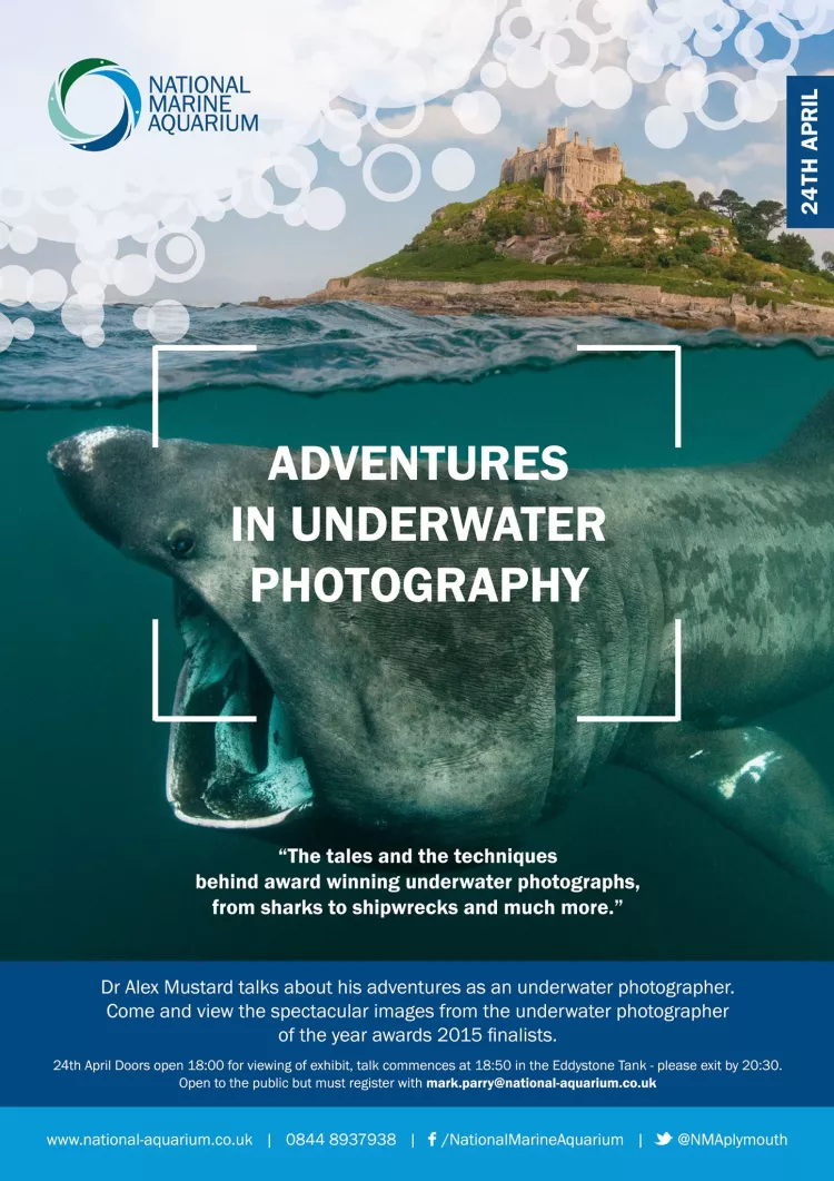 National Marine Aquarium, Alex Mustard, underwater photos, XRay Mag, Roz Lunn, underwater images, Plymouth