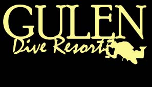Gulen dive resort logo