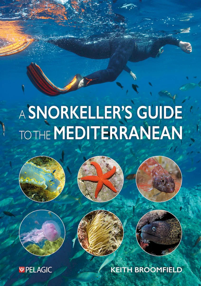 A Snorkeller’s Guide to the Mediterranean by Keith Broomfield 