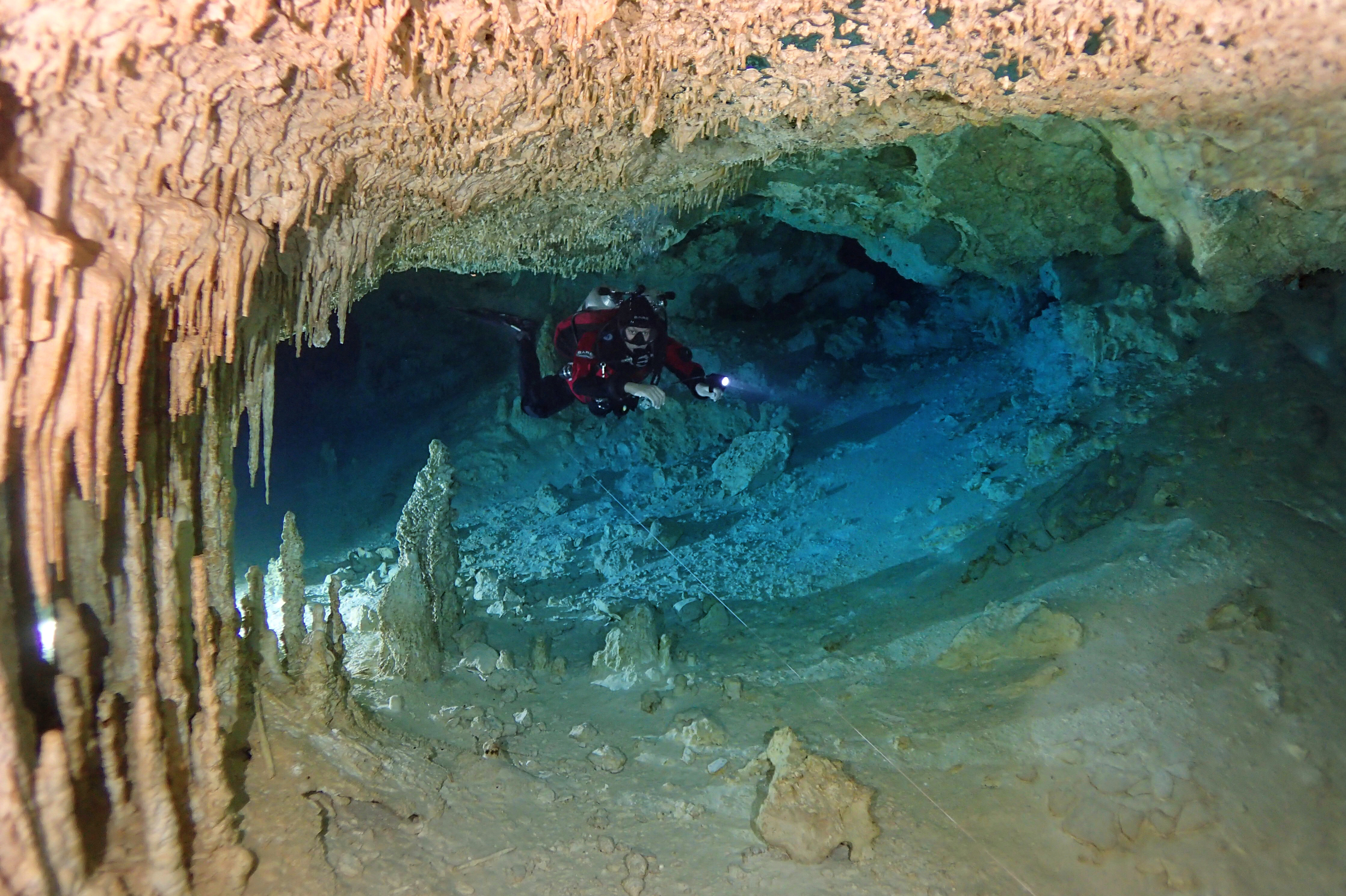 Cave divers in Cenote Concha. Photo by Daniel Millikovsky