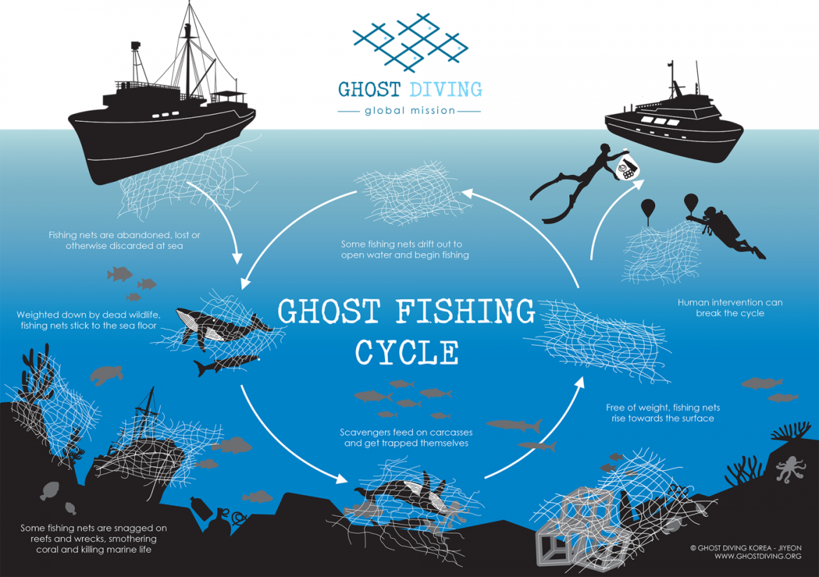 Olive Ridly Project, Ghost Fishing, Ghost Diving, Pascal van Erp, Rosemary E Lunn, Roz Lunn, Bracenet, Benjamin Wenke, Madeleine von Hohenthal, environmental diving news