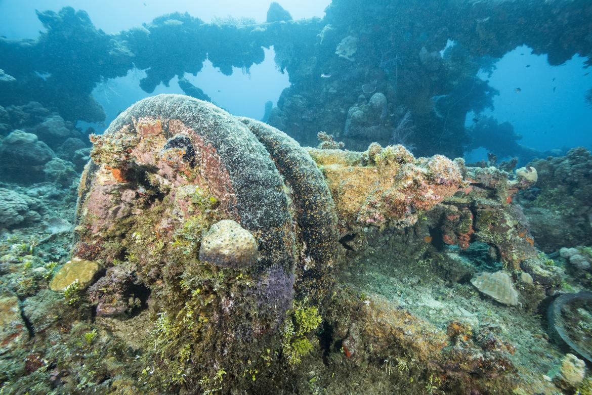 Dually truck axle, covered in colorful corals and sponges, resting on the forward deck of the Sankisan Maru