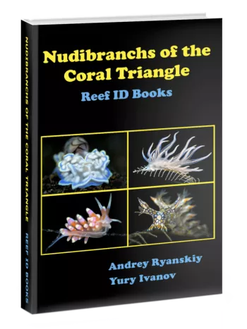 Nudibranchs of the Coral Triangle book cover