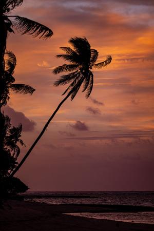 Sunset on Ebadon Island. Photo by Lorenzo Moscia.