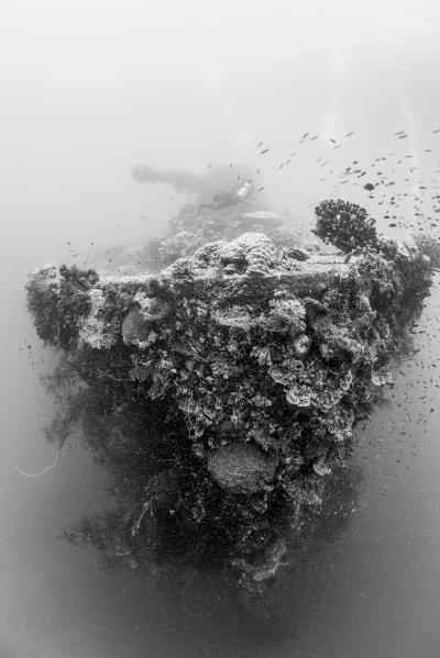 After nearly 80 years underwater, the Fujikawa Maru's bow is covered in schooling fish, corals and sponges.