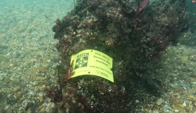 An underwater sign warns visiting divers that a site is forensically marked.