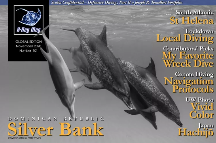 Cover image by Peter Symes | Dolphins off Bahamas