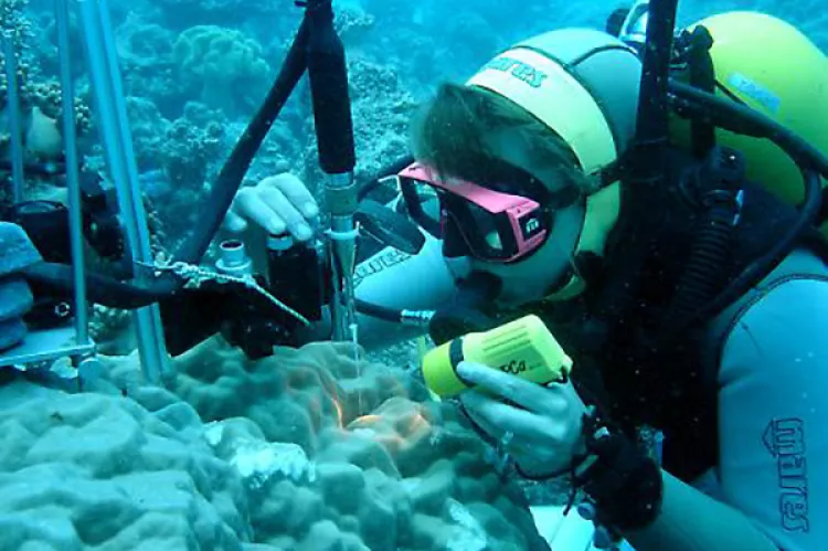 Miriam Weber measures the oxygen concentration 