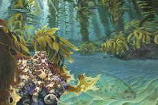 So-Cal Kelp Forest, painting by Amadeo Bachar.