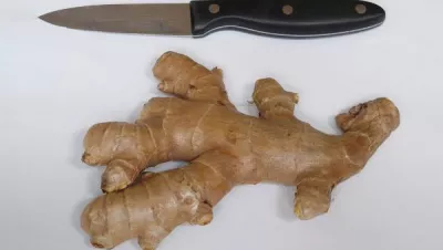 Ginger is a popular remedy against motion sickness