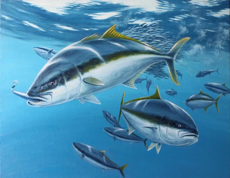 Yellow Frenzy, yellowtail, 34 x 41cm, oil on canvas by Setsuo Hamanaka