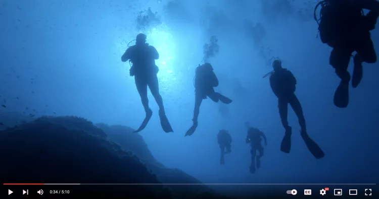 Screenshot from Lorenzo Moscia’s video, Underwater World