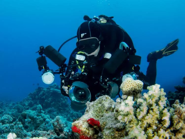 Underwater photographer with camera rig, photo by Kate Jonker
