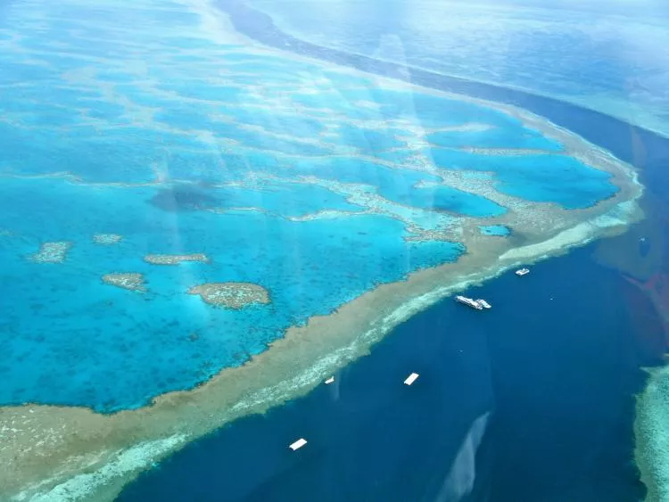 Great Barrier Reef at the Whitsunday Islands, Australia.