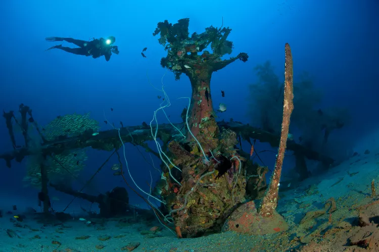 Diver at Deep Pete," the wreck of a Mitsubishi F1M seaplane, located on the western side of Nusa Lik (small Nusa) Island