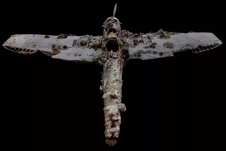 Photogram­metry image of the wreck of a Nakajima “Kate” B5N fighter-bomber in Kavieng