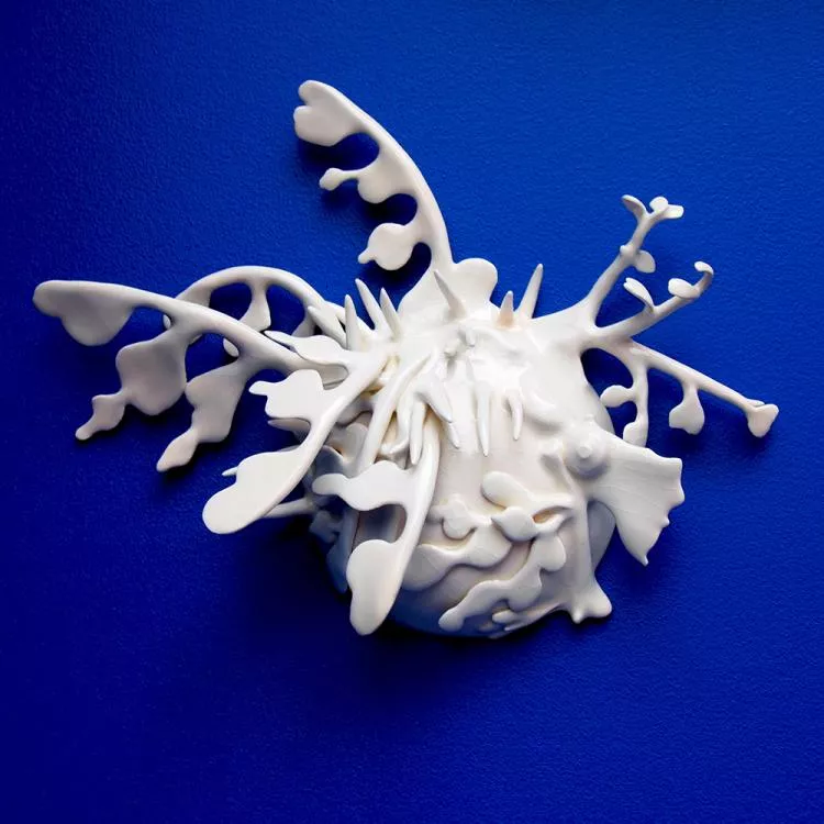 Leafy Sea Dragon Shield, by Marguerita Hagan. Hand-built ceramic, 9 x 12 x 3.75in