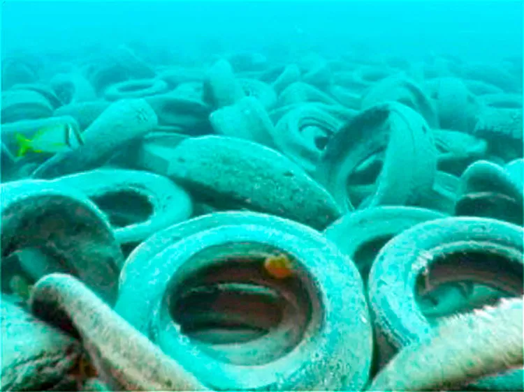 Some 2 million tires were dumped off the coast of Fort Lauderdale, Fla., in the 1970s, in an effort to create an artificial reef. Three decades later, military divers have begun removing the tires.
