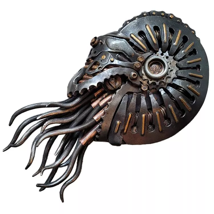Nautilus, by Alan Williams