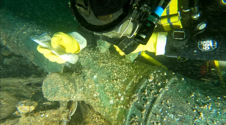 Diver applying a protective marking solution to a bronze cannon on the protected wreck site of the Klein Hollandia 