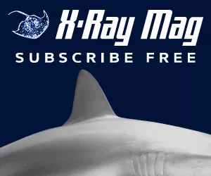 X-Ray Mag Subscribe Free 300x250px