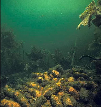 Dumped munitions lying on the seafloor