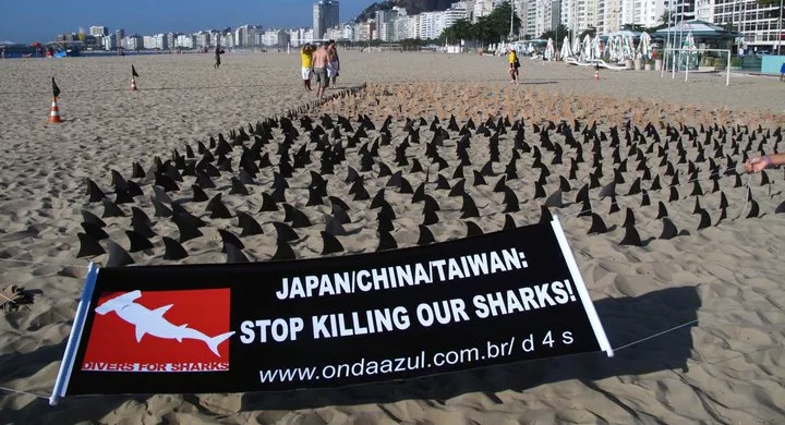 Japan/China/Taiwan : Stop killing our sharks!