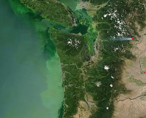 muddy green cloud floats in the Pacific Ocean off the coast of Washington and Oregon in this Moderate Resolution Imaging Spectroradiometer (MODIS) image, taken on July 23, 2004, by the Terra satellite.